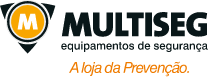 Logo Multiseg